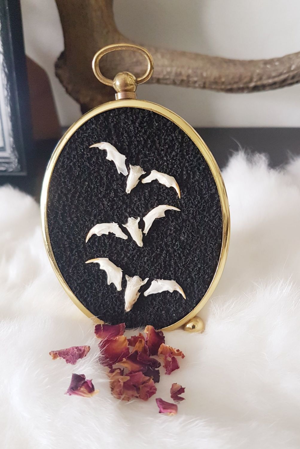 Bats - Vintage Frame With Owl Pellet Bones