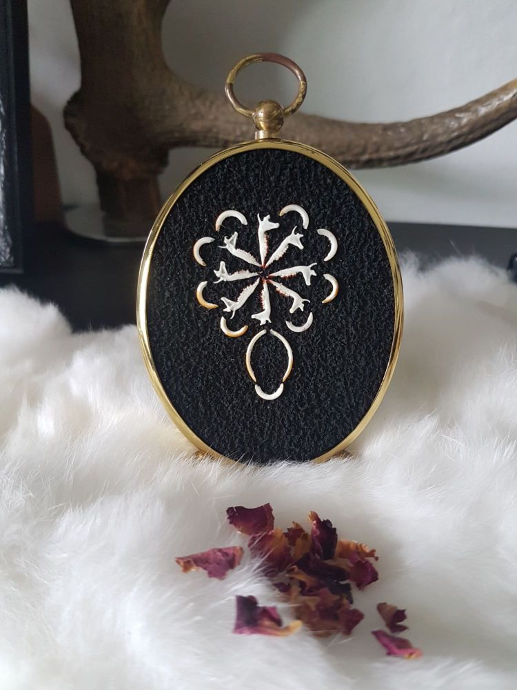 Flower- Vintage Frame With Owl Pellet Bones Memento Mori