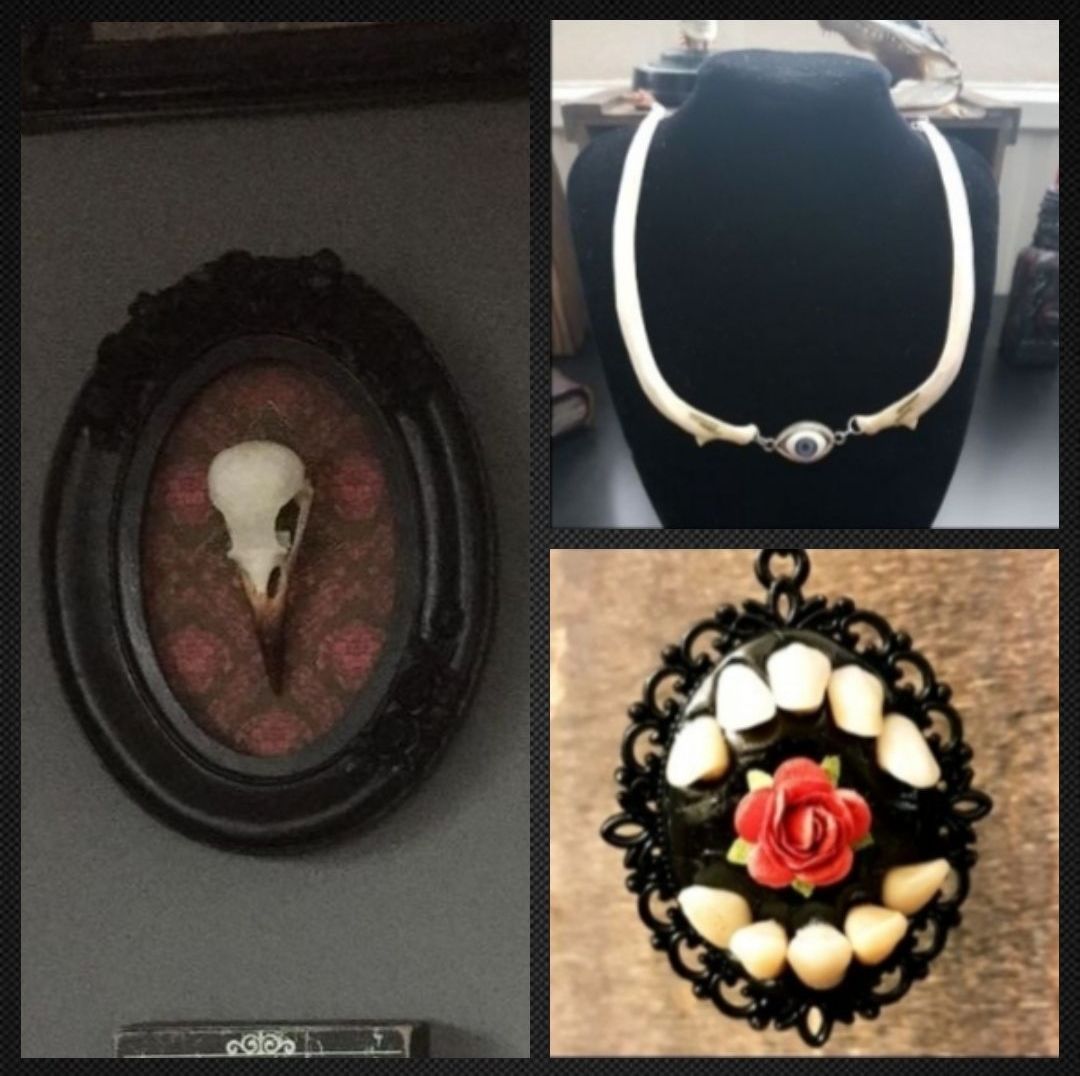 Crow skull in ornate frame, rib necklace, teeth necklace