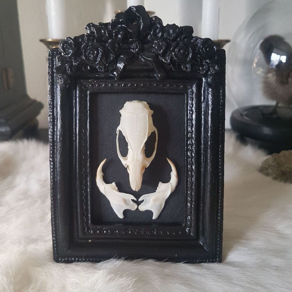 Rat Skull In Gothic Style Frame