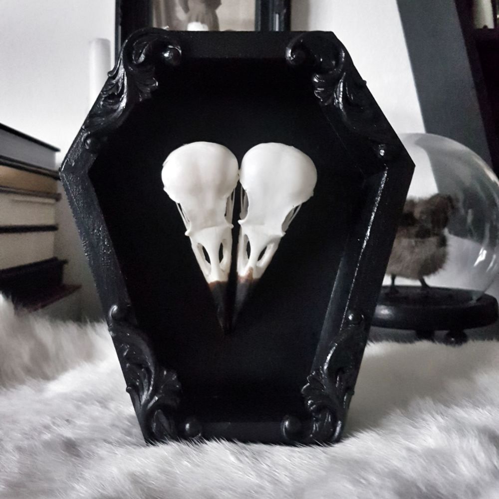 Coffin Frame Crow Skulls