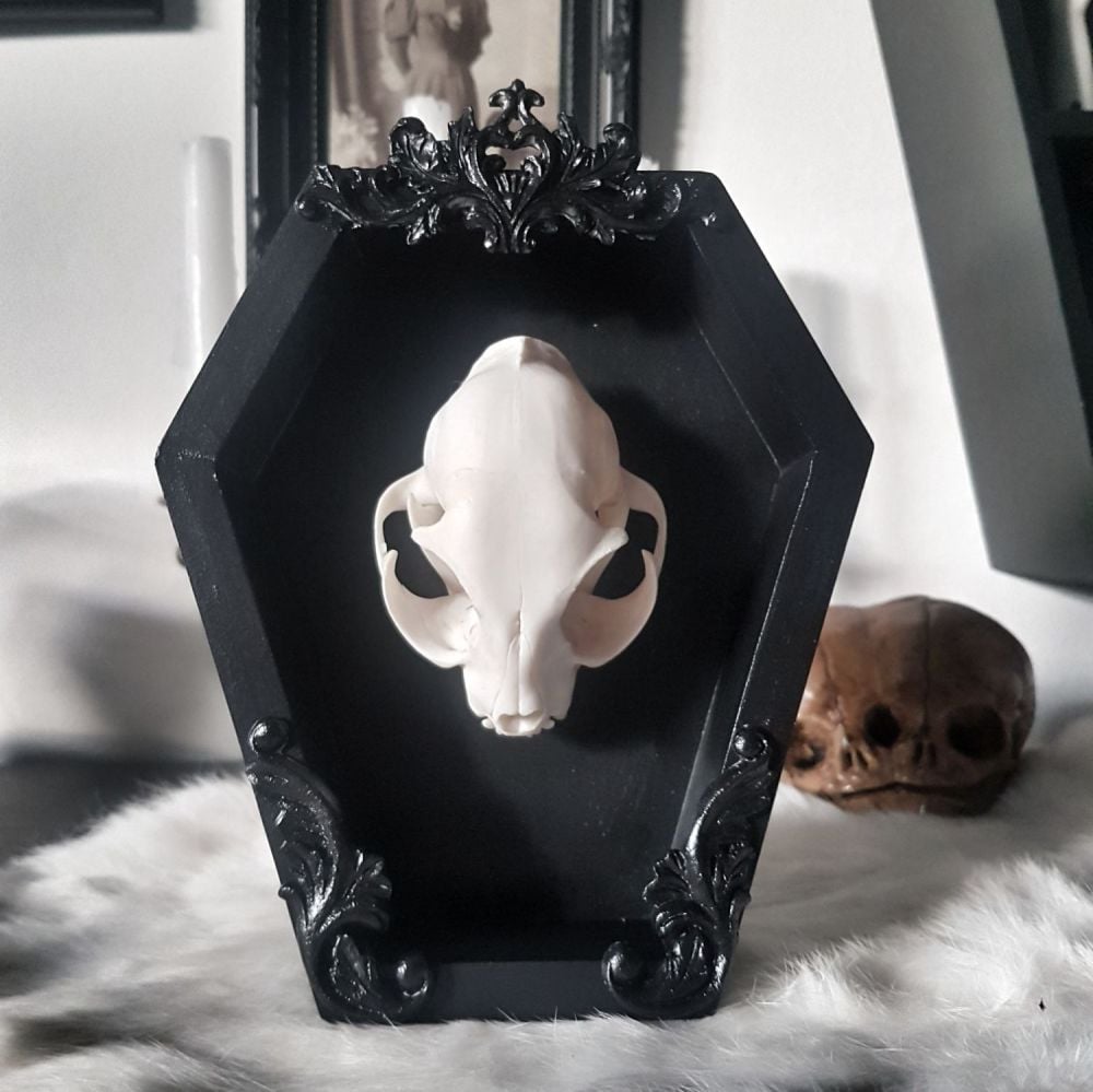 Cat Skull Coffin Frame