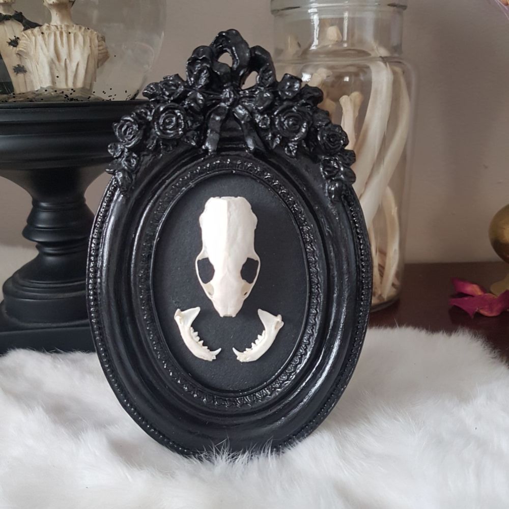 Stoat Skull In Gothic Style Frame