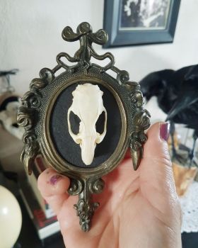 Rat Skull In Brass Ornate Frame