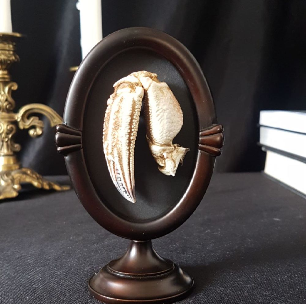 Crab Leg In Oval Frame