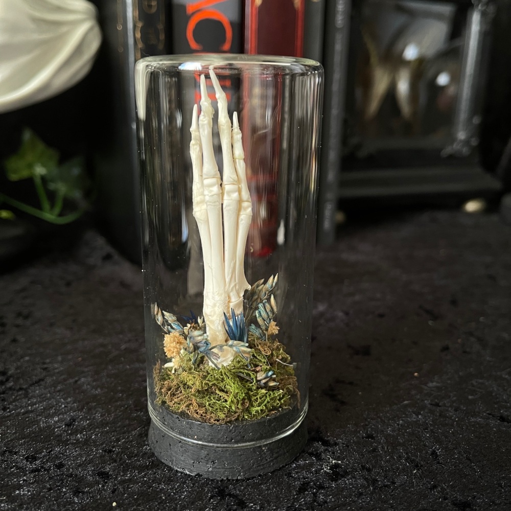 Rabbit Front Paw In Glass Display