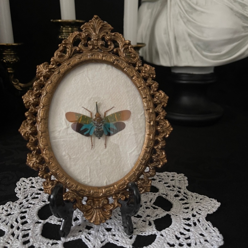 Saliva Transversolineata - Green Lanternfly