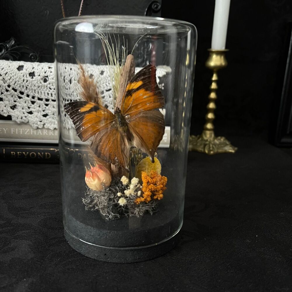 Floral Autumn Leaf Butterfly Display