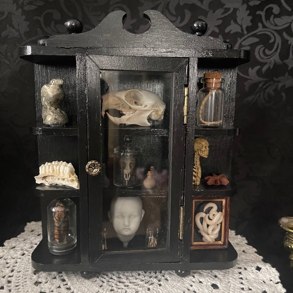 Vintage Cabinet Of Curiosities