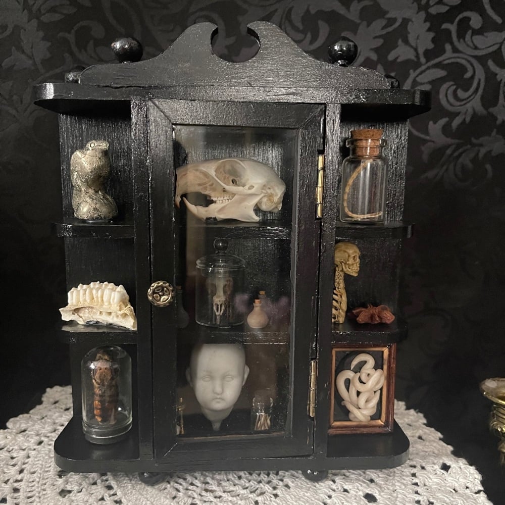 Vintage Small Cabinet Of Curiosities