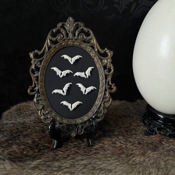 Owl Pellet Bat Frame (6 bats)