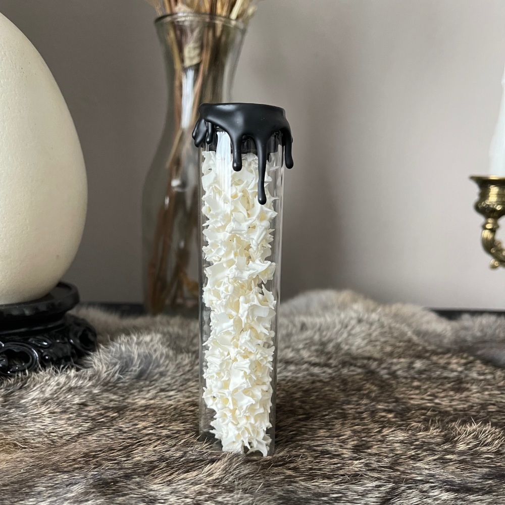 XL Curio Vial Rattle Snake Vertebrae Bones
