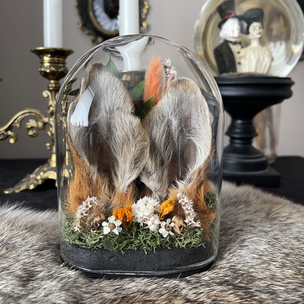 Deer ears in glass display