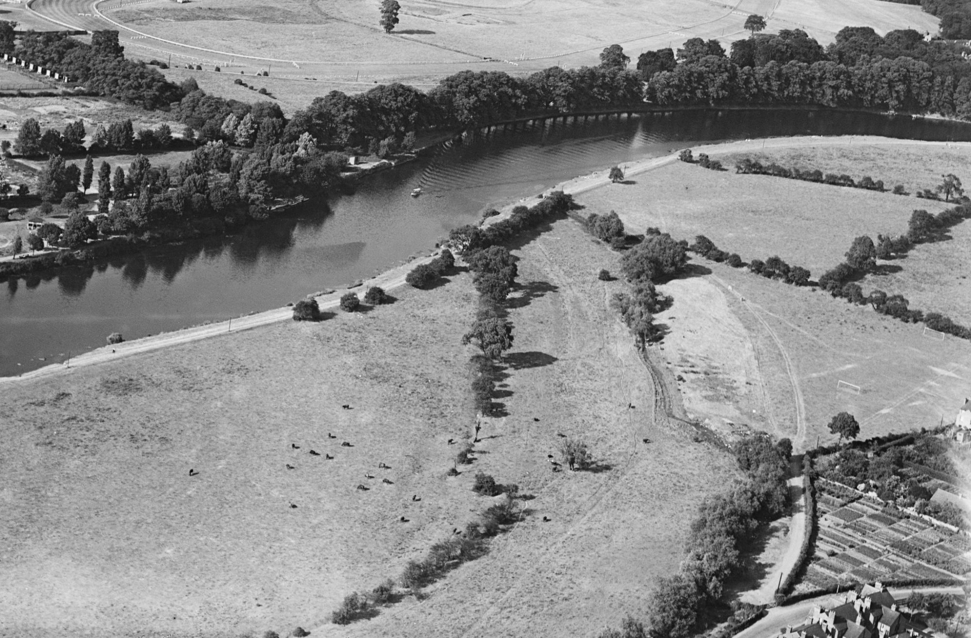 The Hook 1934