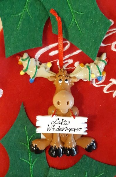 Christmas Reindeer