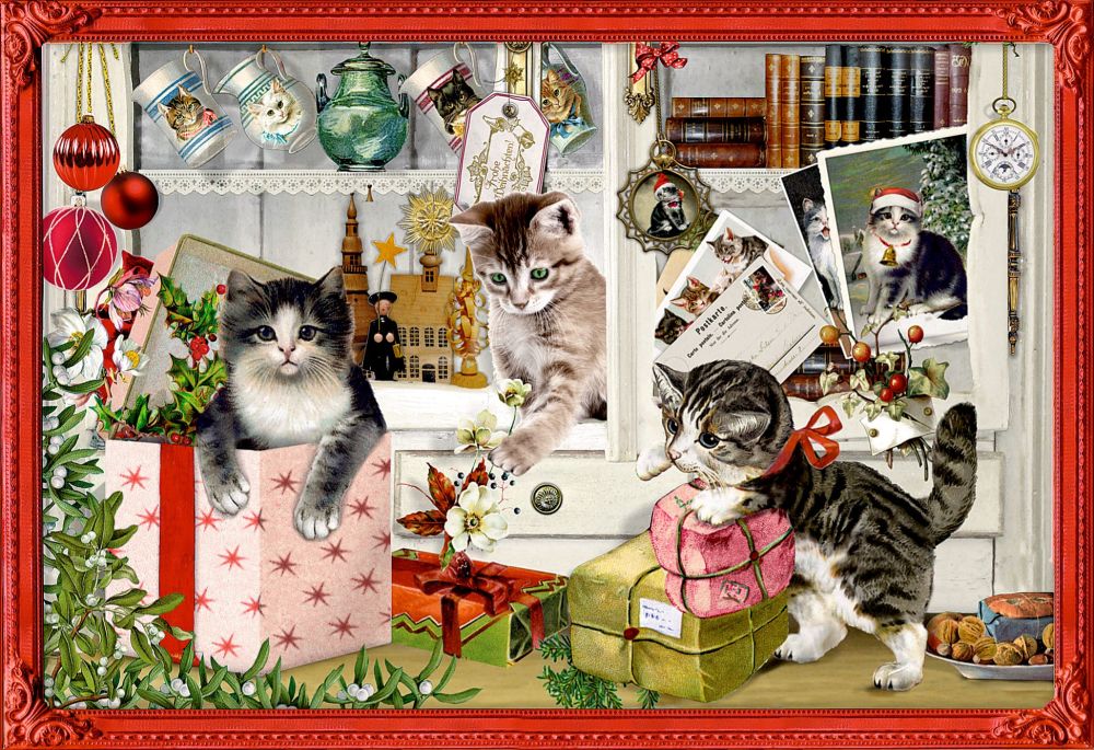 Cats Kitten Christmas Scene Advent Calendar Card 16 5cm x 11 5cm