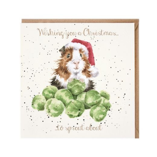 'Sprouts' Greedy Guinea Pig Christmas Card by Wrendales Hannah Dale - 15cm