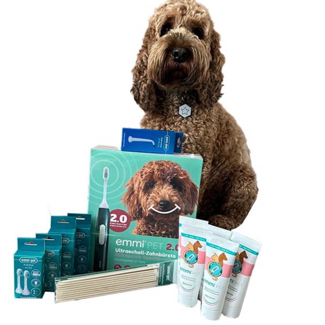 Exclusive Emmi Pet Crufts Deal Special Offers on Dog Dental Care