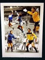 Peter Shilton Signed 12x16 England photo