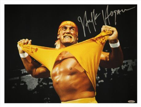 Hulk Hogan