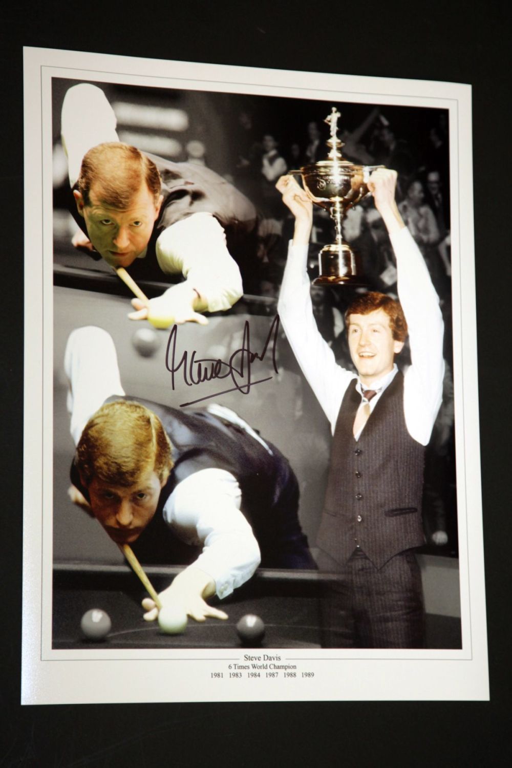 Steve Davis Hand Signed Boxing 12x16 Photograph 