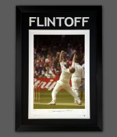 Freddie Flintoff England Cricket Signed Photograph In A Framed Presentation.