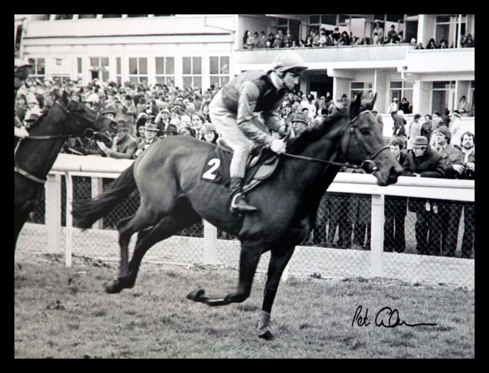 Peter Scudamore Signed Large Photograph