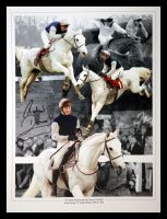 Richard Dunwoody  And Desert Orchid  Signed  12x16 Photograph