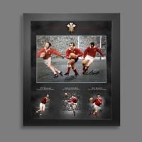  Wales Rugby  Triple Signed  12x16 Photograph  In A Picture Mount Display