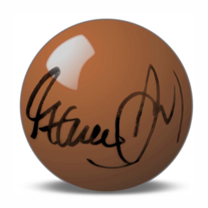 Steve Davis Hand Signed Brown Snooker Ball.