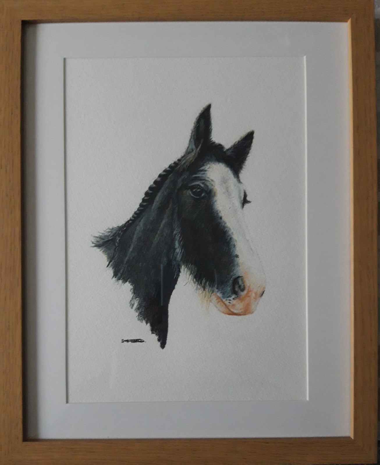 horse pet portrait completed in watercolour pencils