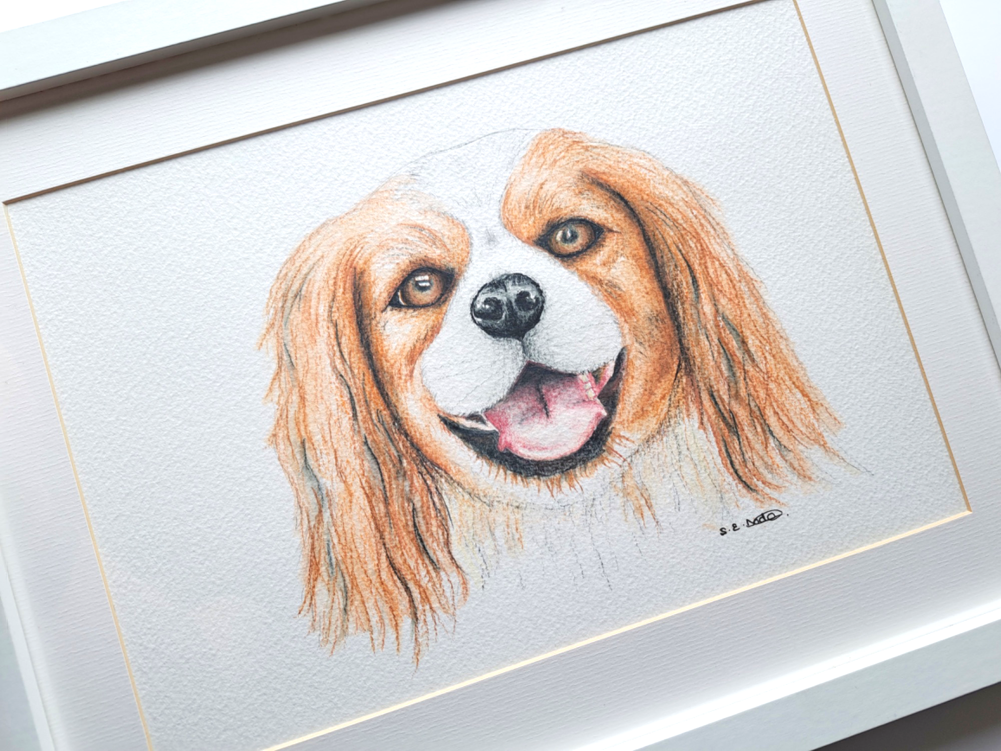 Pet Portrait Commission completed in watercolour pencils