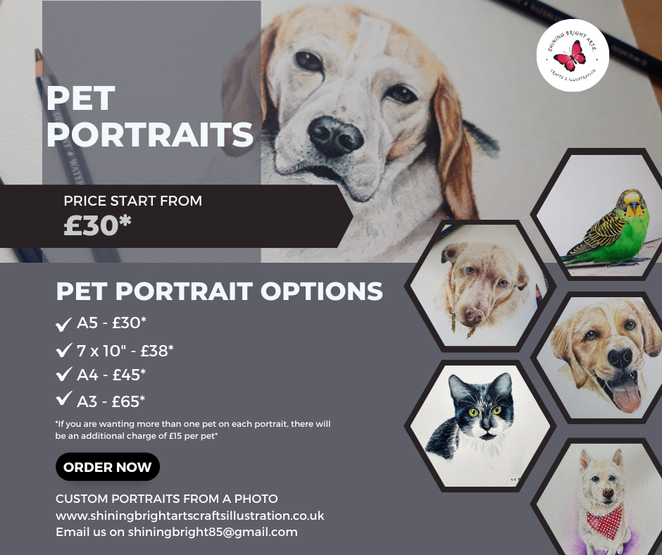 Pet Portrait Price List - Cheshire Artist