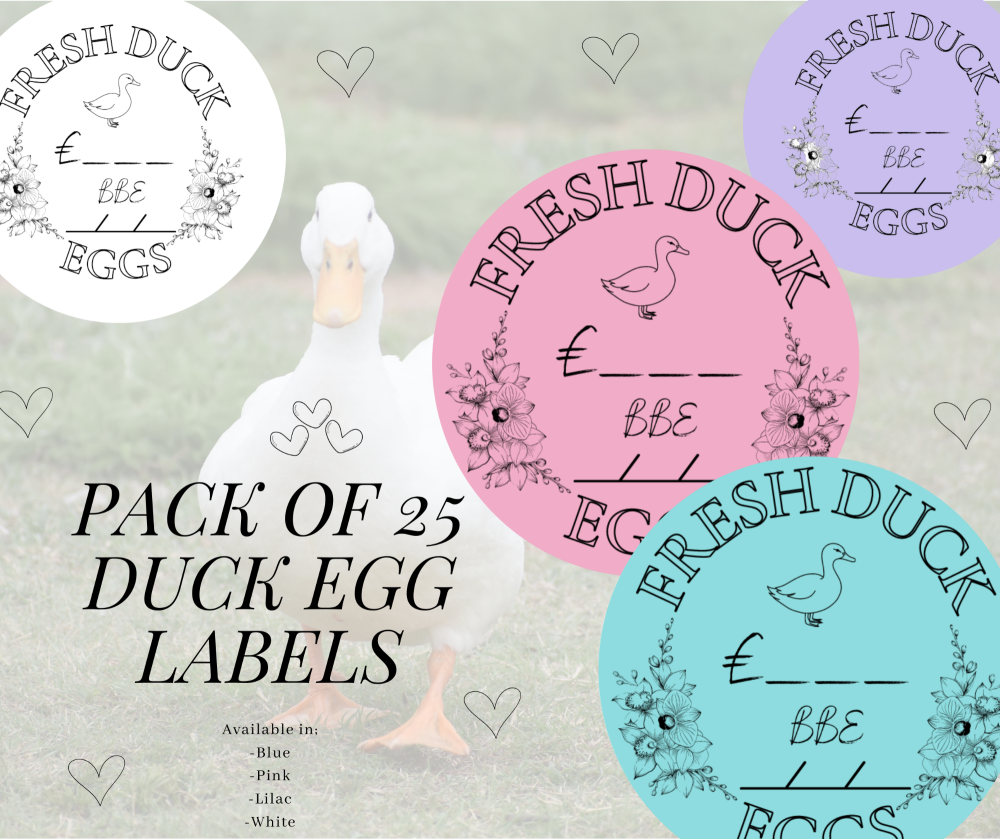 Duck Egg Box Labels