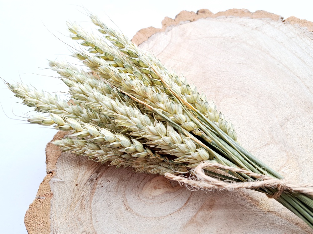 15 Stems Of Natural Wheat