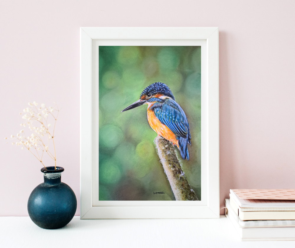 The Perching Kingfisher A4 Fine Art Print
