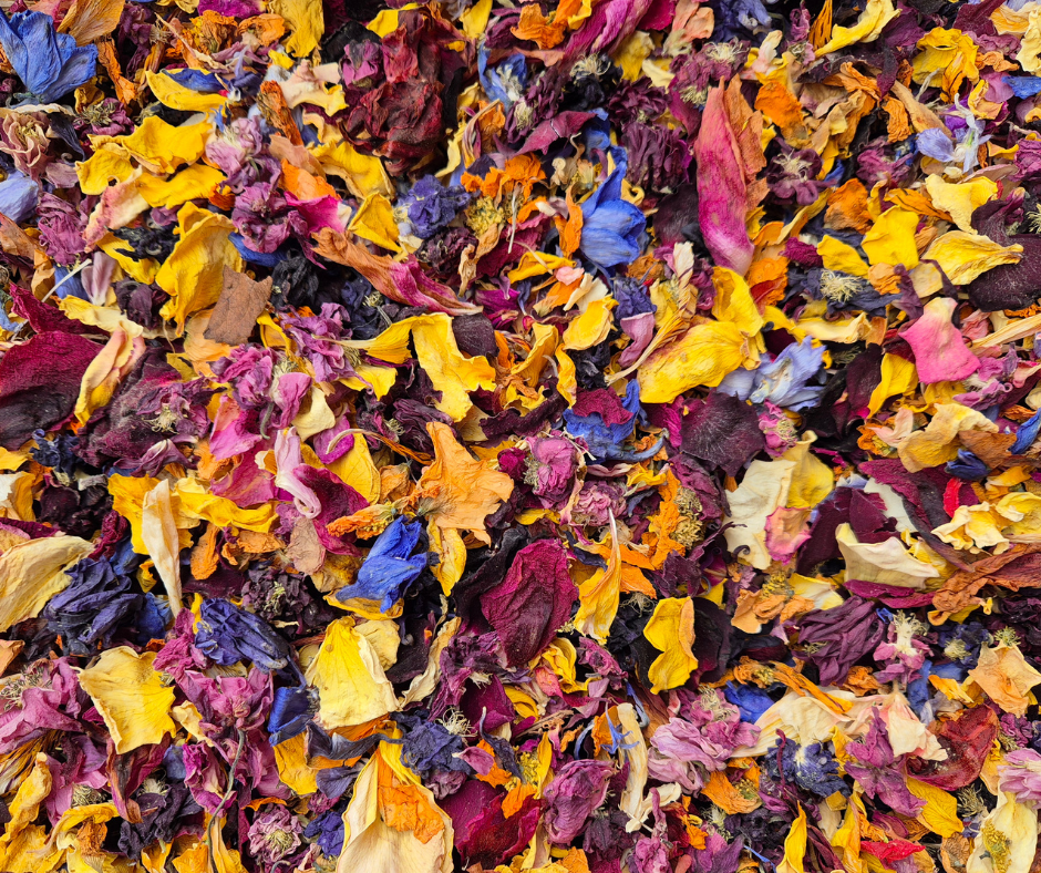Dried Petals