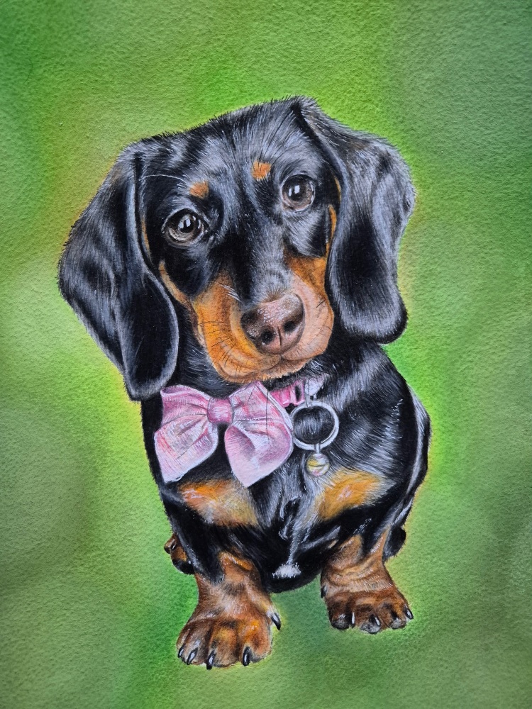 A3 Pet Portrait with Pastel Background