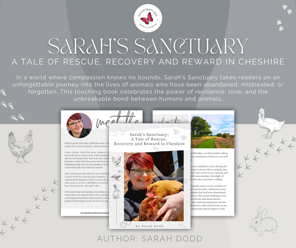 Sarah’s Sanctuary