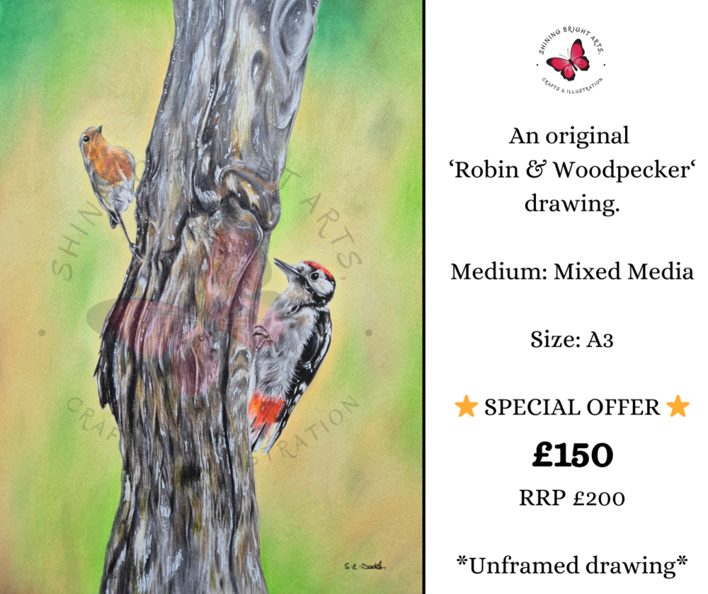 'Robin & Woodpecker' Original Art