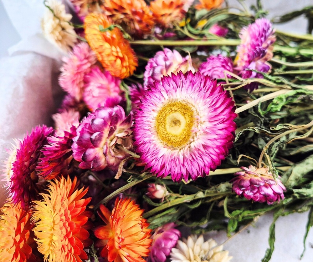 Dried Helichrysum Box