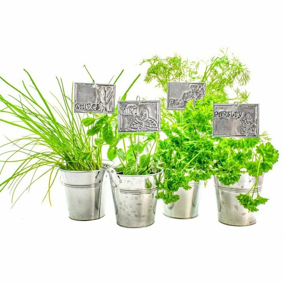 Embossed Planter Kit