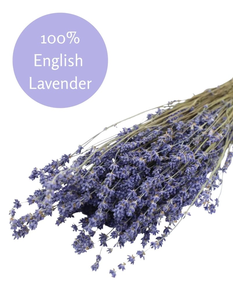 Dried Lavender