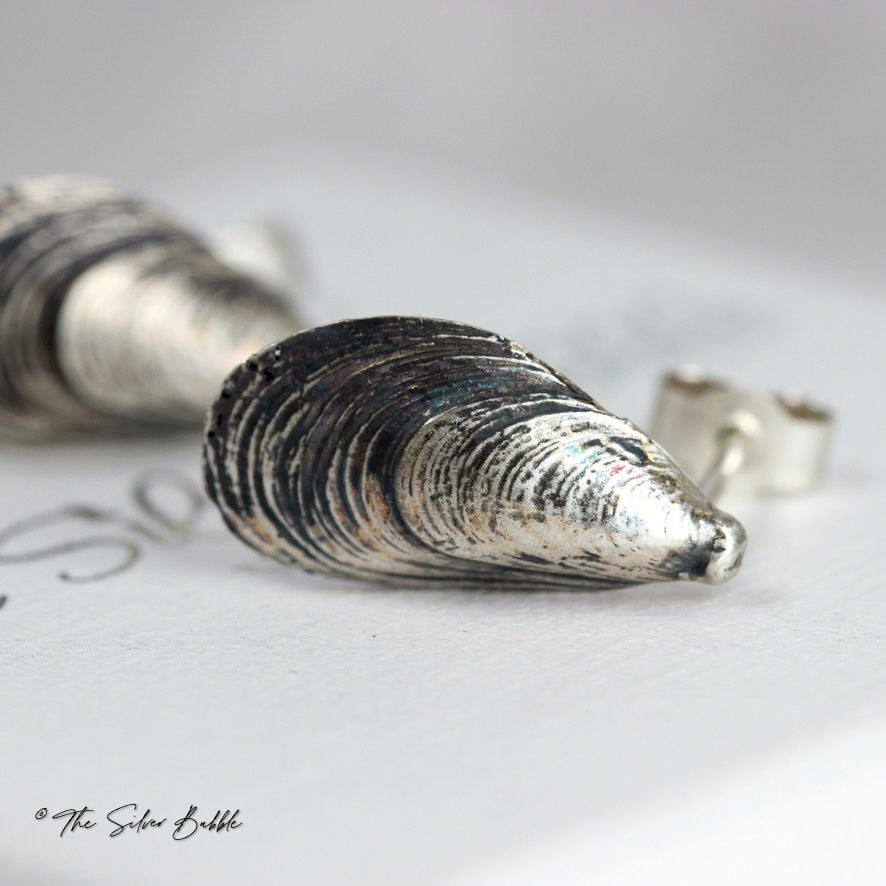 Tiny Mussel Shell Studs