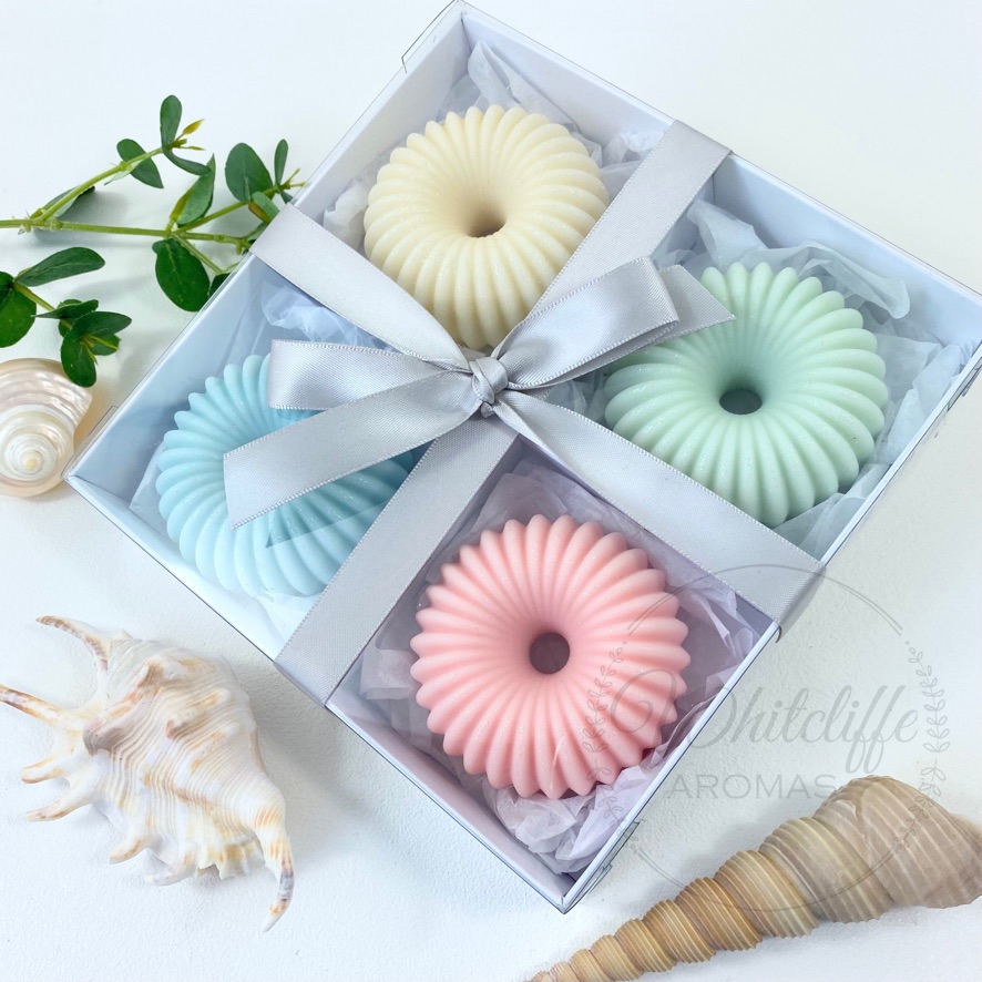 A Walk On The Beach collection - Set of 4 Large Wax Melts