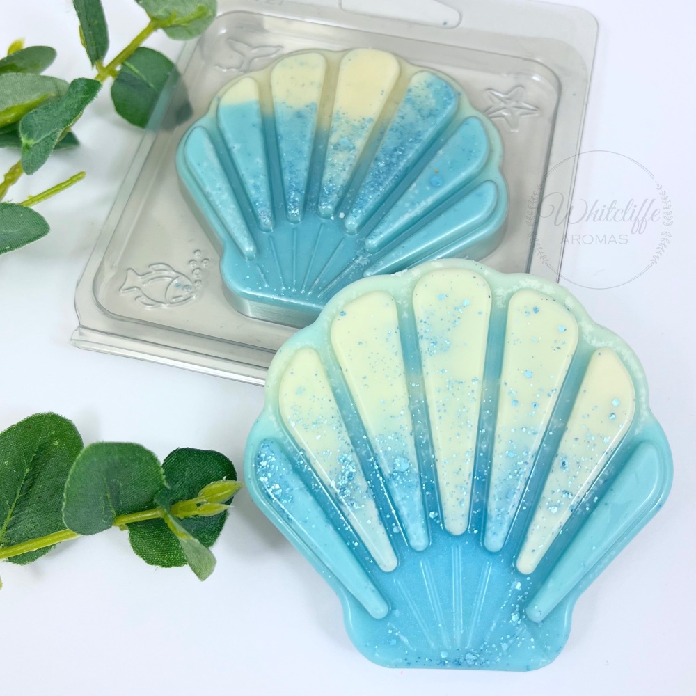 Shell Clamshell - in a choice of Summer Fragrances
