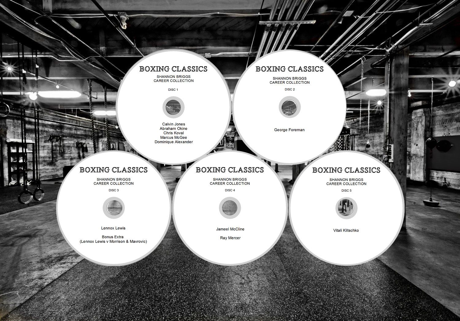 BRIGGSDISCS