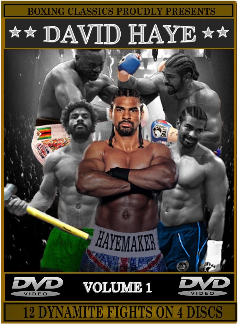 DAVID HAYE (Volume 1)