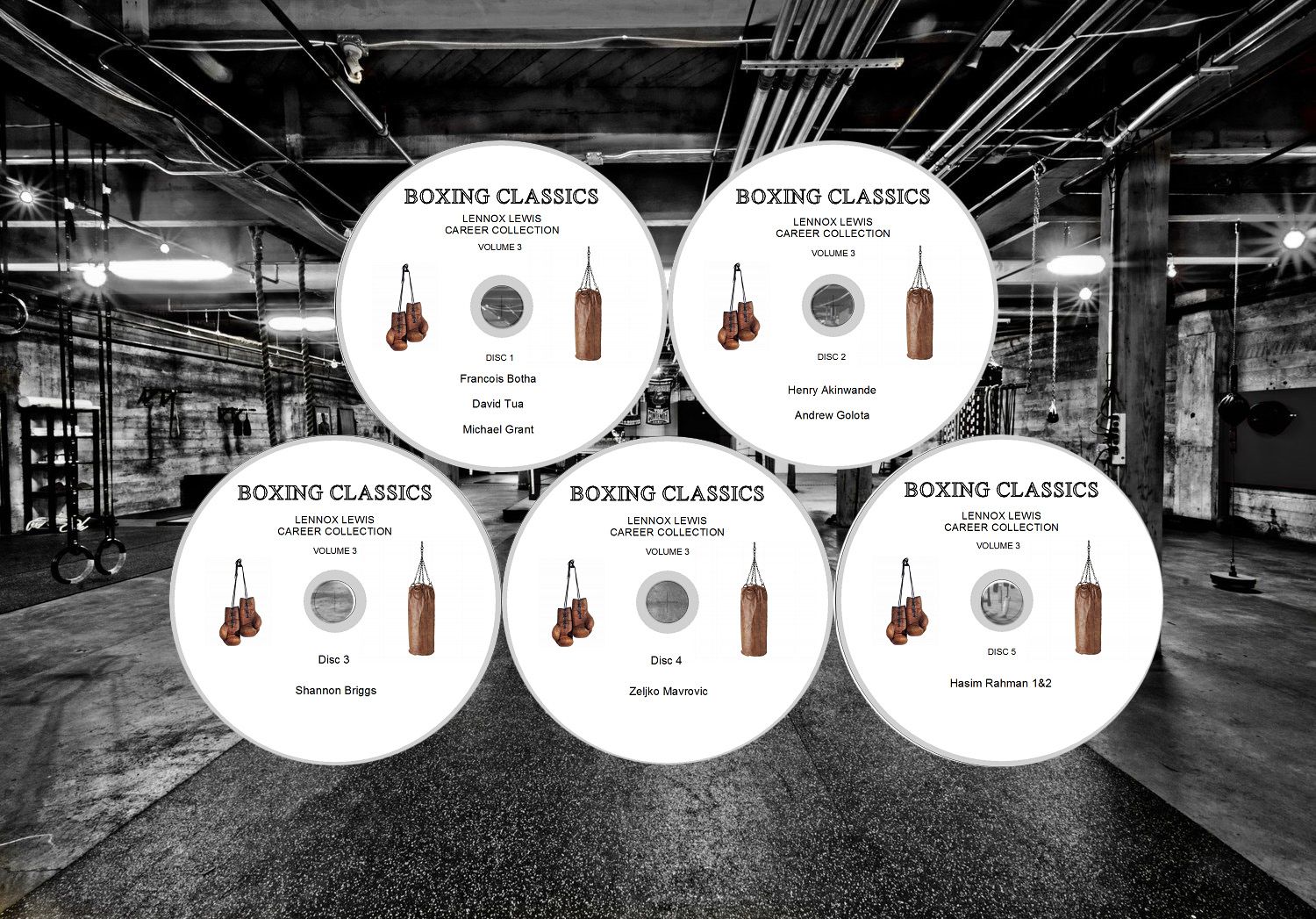 LEWIS3DISCS