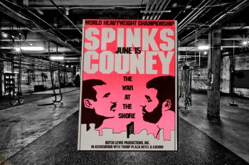 SPINKS v COONEY